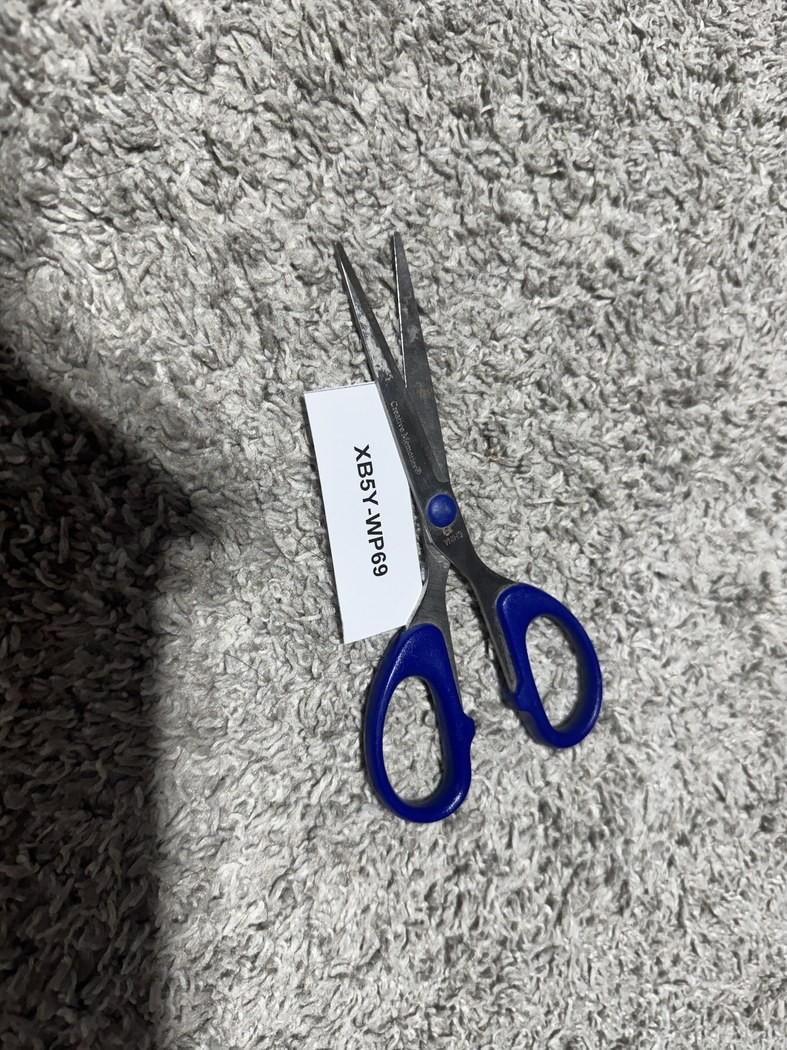 The hidden target for identifier XB5Y-WP69: a pair of scissors.